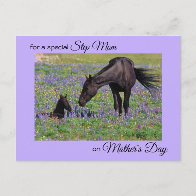 Mother's Day for Step Mum Mare & Foal Photo Postcard (Front)