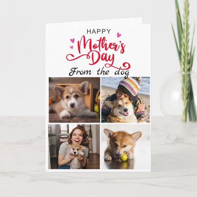 Mother's Day...Four photos custom collage Corgi Thank You Card (Front)