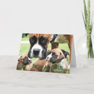 Mothers Day - From All of Us Boxer Puppies - Vindy Card