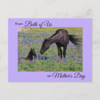Mother's Day from Both of Us Mare & Foal Photo