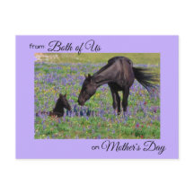 Mother's Day from Both of Us Mare & Foal Photo