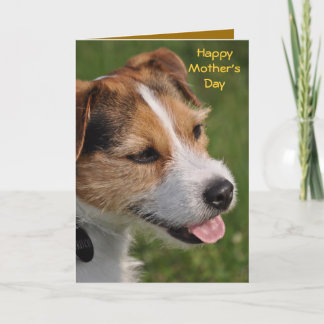 Mother's Day from the Dog Card