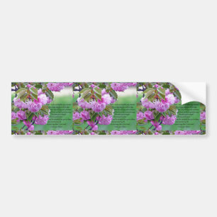Mothers Day-I love you Bumper Sticker