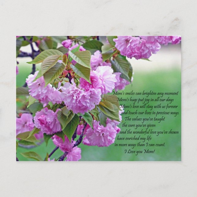 Mothers Day-I love you Postcard (Front)