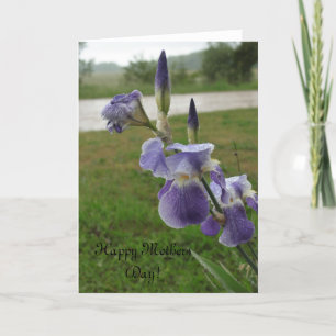 Mother's Day Iris Card