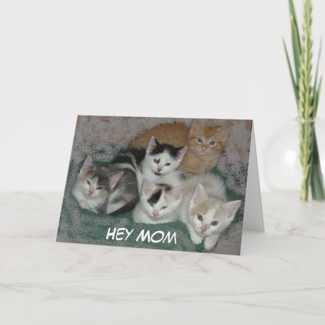 Mother's Day Kittens Card (Front)