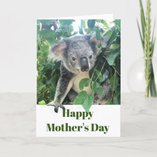 Mothers Day Koala Eucalyptus tree Photo Holiday Card