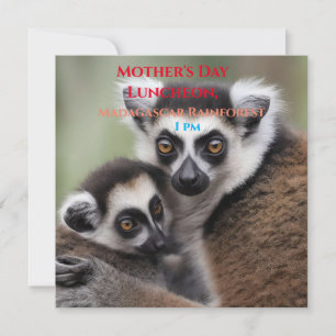 Mothers Day Luncheon Invitation Mum And Baby Lemur
