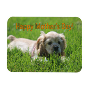 Mother's Day Magnet