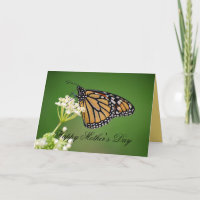 Mother's Day Monarch Butterfly on White Milkweed