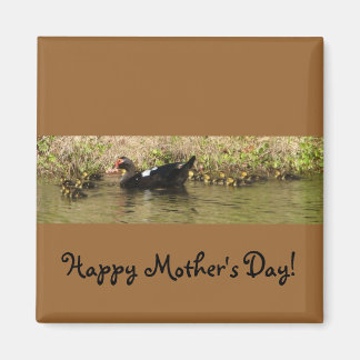 Mother's Day Muscovy Duck Magnet