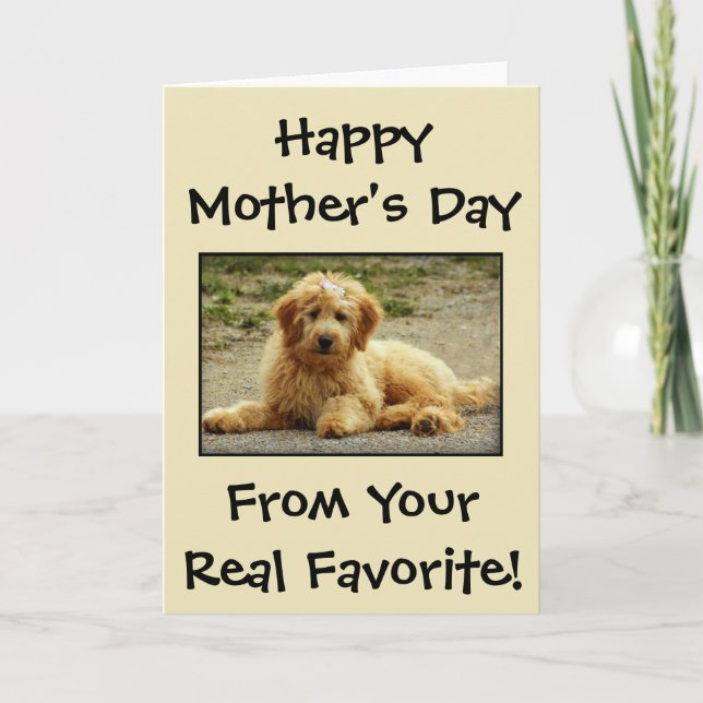 Mother's Day Personalised From The Dog Photo Card (Front)
