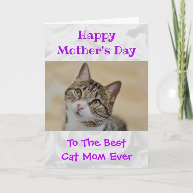 Mother's Day Photo Cat Mum World's Best Ever Pet Holiday Card (Front)