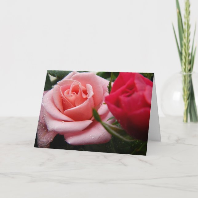 Mothers Day Pink and Red Rose Card (Front)