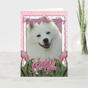 Mothers Day - Pink Tulips - American Eskimo Card