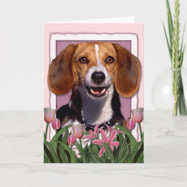 Mothers Day - Pink Tulips - Beagle Card (Front)