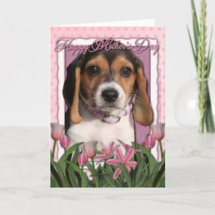 Mothers Day - Pink Tulips - Beagle Puppy Card