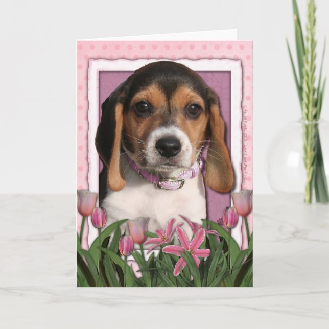 Mothers Day - Pink Tulips - Beagle Puppy Card (Front)