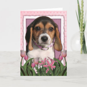 Mothers Day - Pink Tulips - Beagle Puppy Card