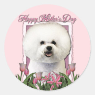 Mothers Day - Pink Tulips - Bichon Frise Classic Round Sticker