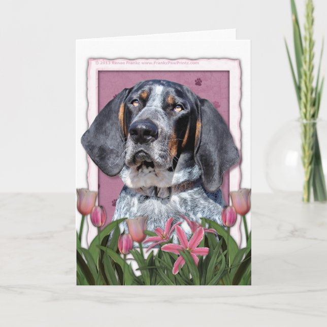 Mothers Day - Pink Tulips - Bluetick Coonhound Card (Front)