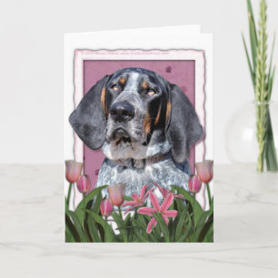 Mothers Day - Pink Tulips - Bluetick Coonhound Card