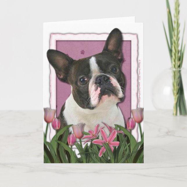 Mothers Day - Pink Tulips - Boston Terrier Card (Front)