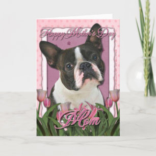 Mothers Day - Pink Tulips - Boston Terrier Card