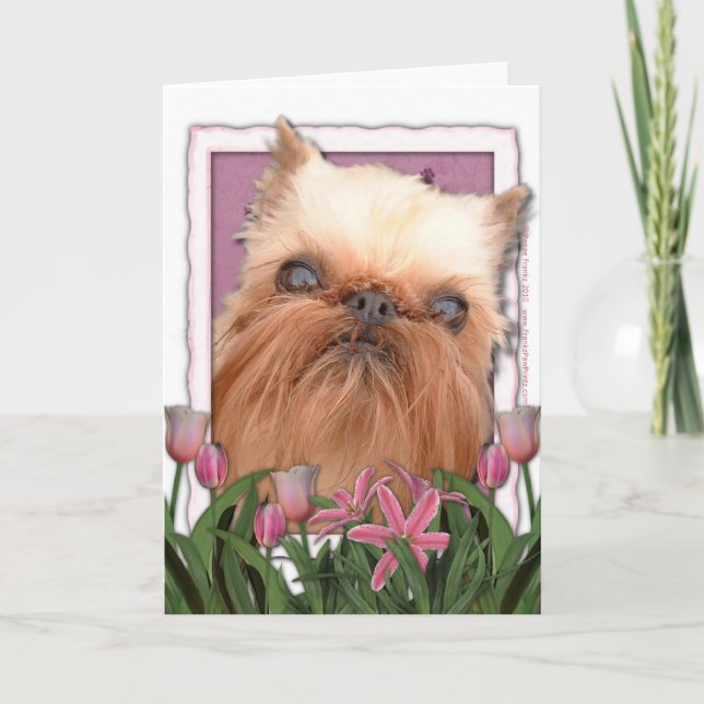 Mothers Day - Pink Tulips - Brussels Griffon Card (Front)
