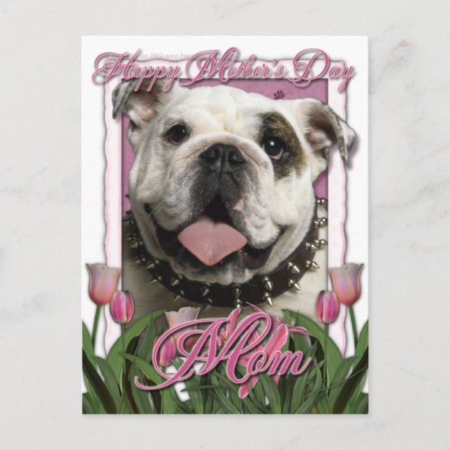 Mothers Day - Pink Tulips - Bulldog Postcard (Front)