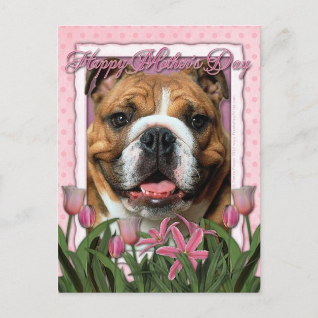 Mothers Day - Pink Tulips - Bulldog Postcard (Front)