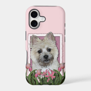Mothers Day - Pink Tulips - Cairn - Teddy Bear