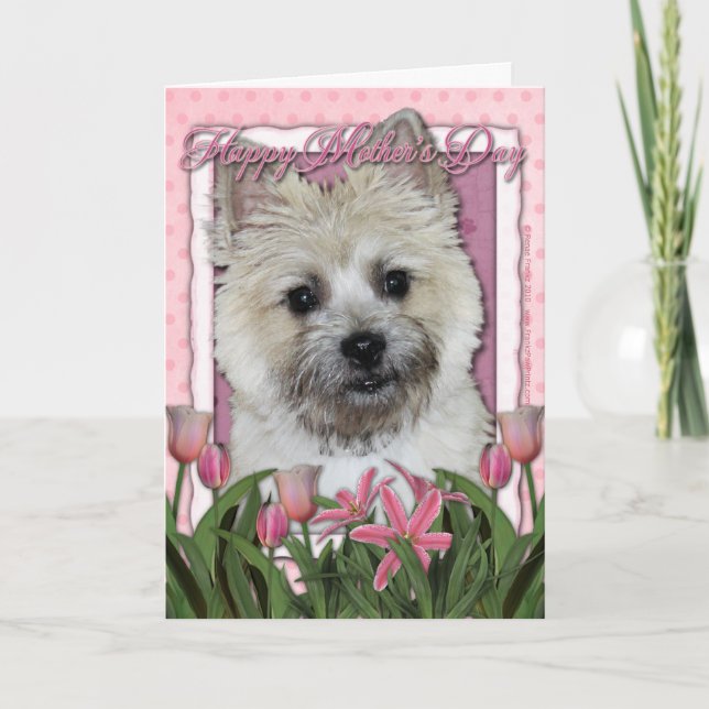 Mothers Day - Pink Tulips - Cairn - Teddy Bear Card (Front)