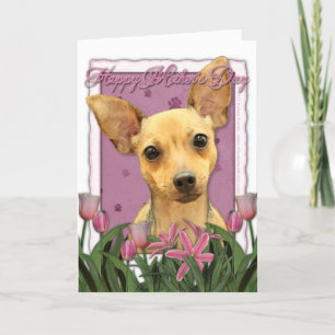 Mothers Day - Pink Tulips - Chihuahua Card