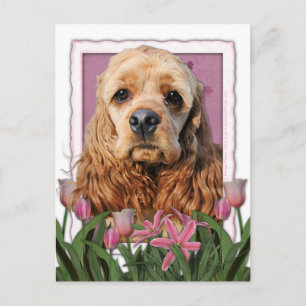 Mothers Day - Pink Tulips - Cocker Spaniel Postcard