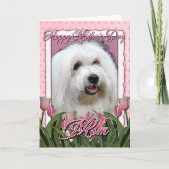 Mothers Day - Pink Tulips - Coton de Tulear Card (Front)