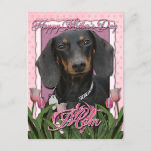 Mothers Day - Pink Tulips - Dachshund - Winston Postcard