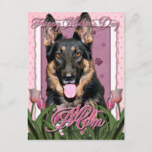 Mothers Day - Pink Tulips - German Shepherd - Kuno Postcard