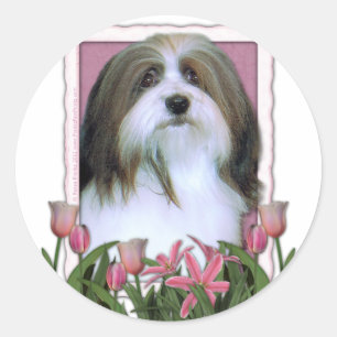Mothers Day - Pink Tulips - Havanese Classic Round Sticker