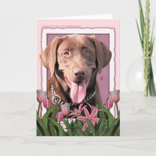 Mothers Day - Pink Tulips - Labrador - Chocolate Card (Front)