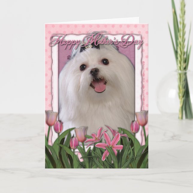 Mothers Day - Pink Tulips - Maltese Card (Front)