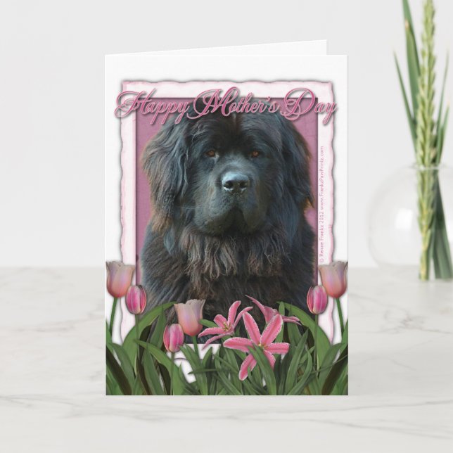Mothers Day - Pink Tulips - Newfoundland Card (Front)