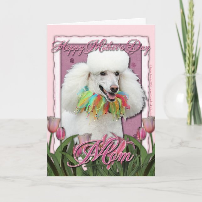 Mothers Day - Pink Tulips - Poodle - White Card (Front)