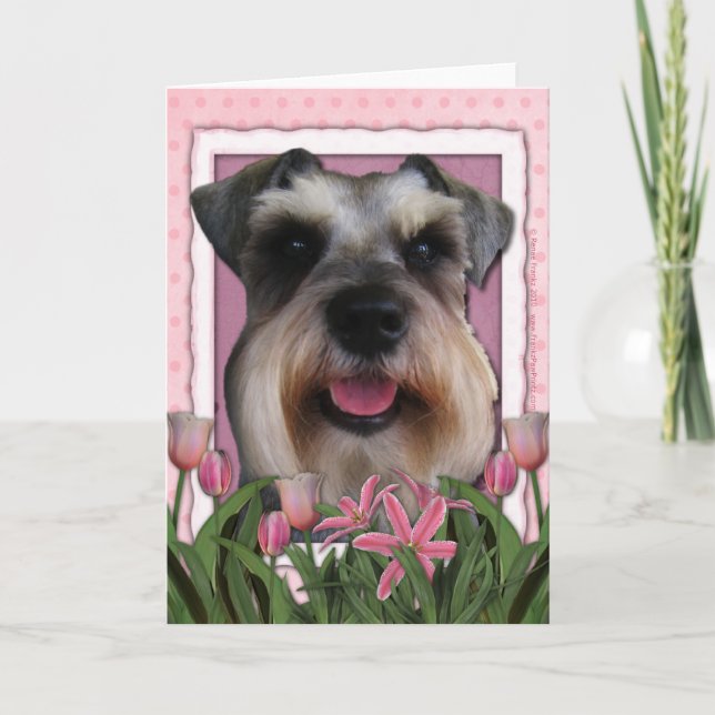 Mothers Day - Pink Tulips - Schnauzer Card (Front)