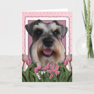 Mothers Day - Pink Tulips - Schnauzer Card