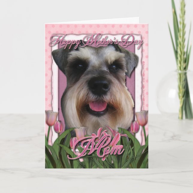 Mothers Day - Pink Tulips - Schnauzer Card (Front)