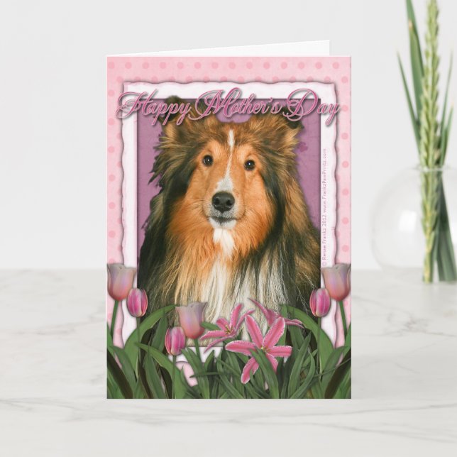 Mothers Day - Pink Tulips - Sheltie Card (Front)