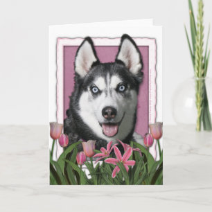 Mothers Day - Pink Tulips - Siberian Husky Card