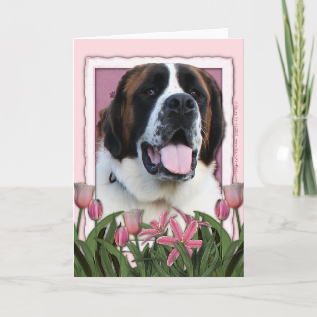 Mothers Day - Pink Tulips - St Bernard - Mae Card (Front)