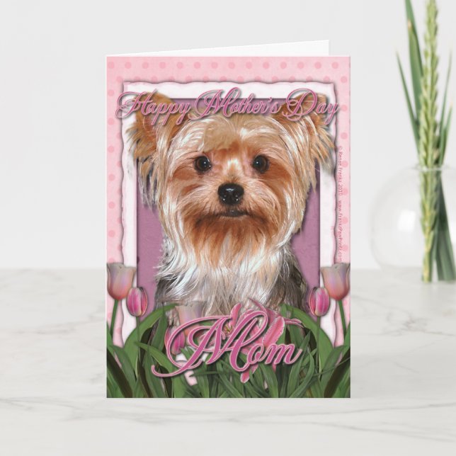 Mothers Day - Pink Tulips - Yorkshire Terrier Card (Front)
